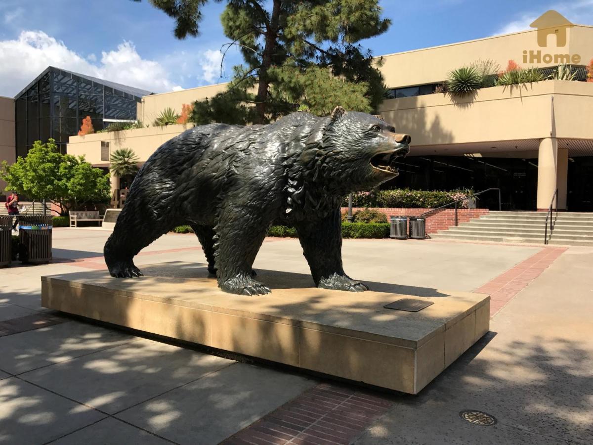 "Resort Style Amenities Walk To Ucla" W Pool & Parking B2 Los Angeles Exterior foto